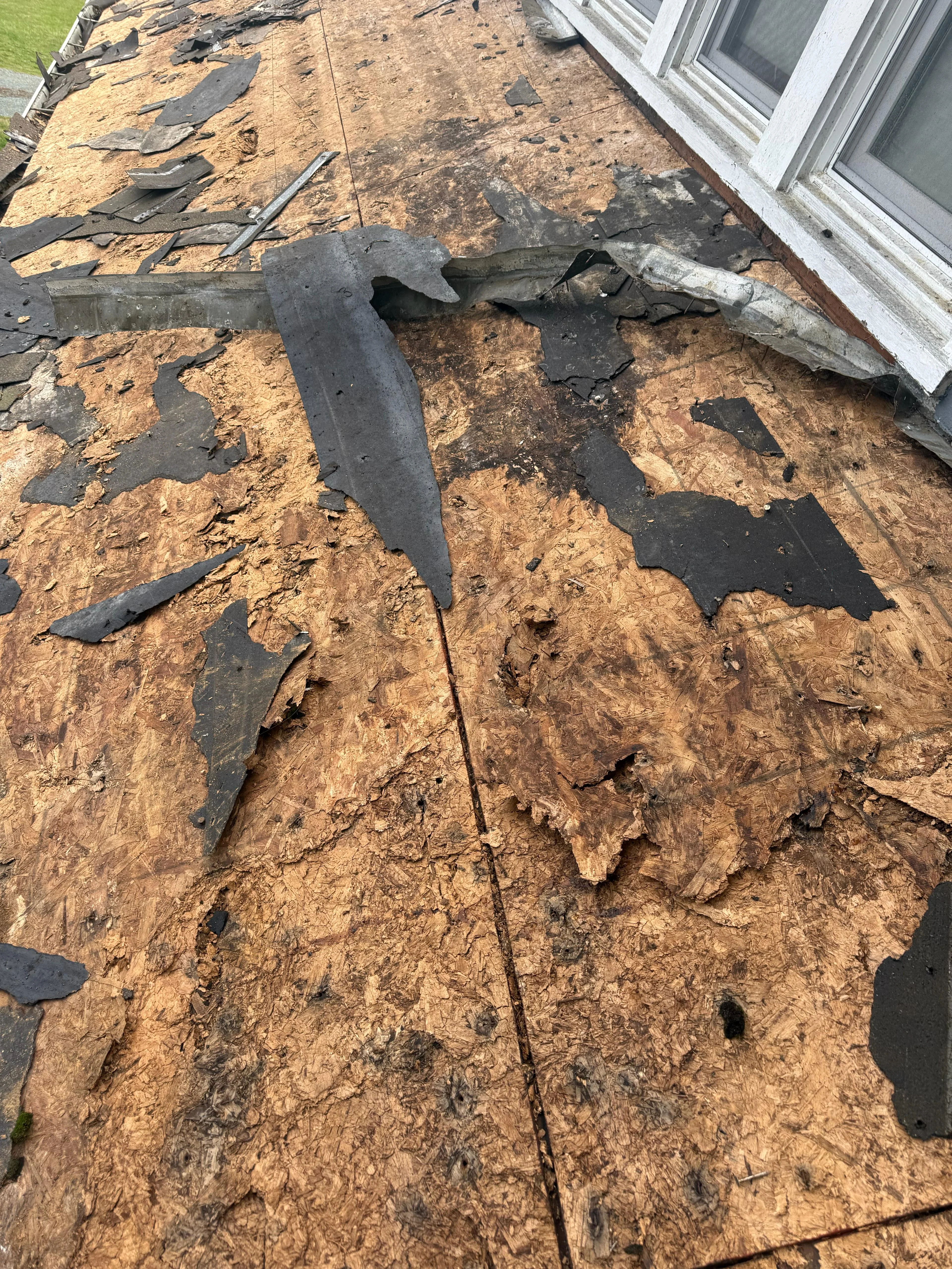 Roof Structure Before